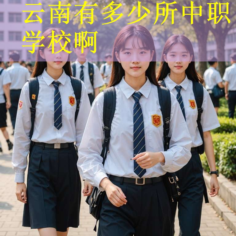 云南有多少所中职学校啊