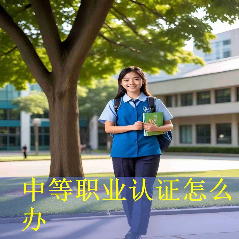中等职业认证怎么办