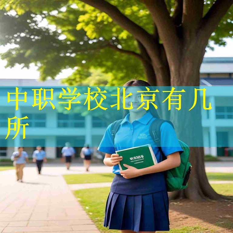 中职学校北京有几所
