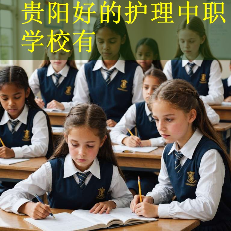 贵阳好的护理中职学校有
