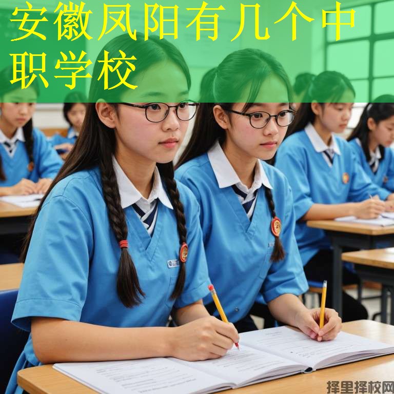 安徽凤阳有几个中职学校