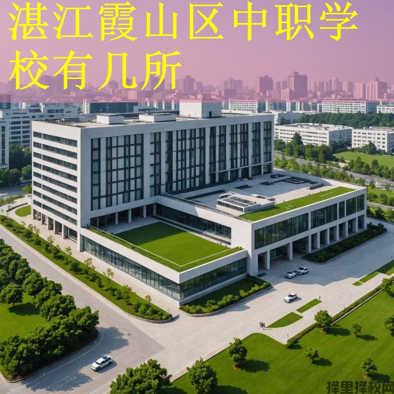 湛江霞山区中职学校有几所