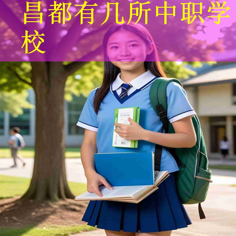 昌都有几所中职学校